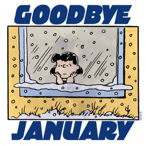 Goodbye January