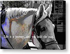 Take A Journey Quotes Canvas Prints - FRENCH BRAID quote Canvas Print ...