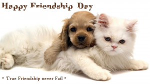 Cat Friendship Quotes Friendship day cute cat dog