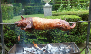 Hog Roast And Catering Hire