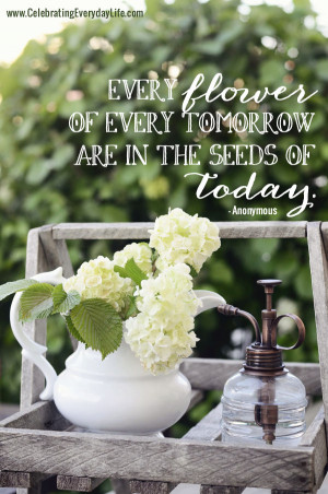 ... Inspiring Quote, Hydrangea blooms in a pitcher, Celebrating Everyday