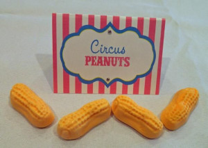 Circus Carnivals Parties, Circus Food, Circus Birthday, Circus Peanut ...