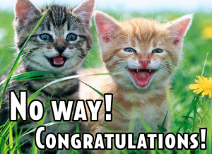 Everyday : Congratulations : Congrats Cats