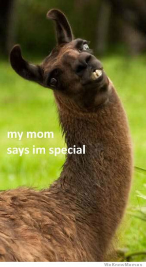 My mom says I’m special – llama