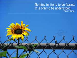 ... in life is to be feared it is only to be understood marie curie