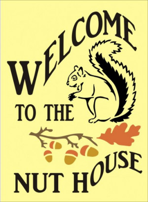 stencil welcome funny squirrel nut house acorns 9 x 12.5 inches