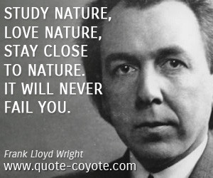 Study nature, love nature, stay close to nature. It will never fail ...