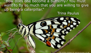 Trina Quotes HD Wallpaper 4