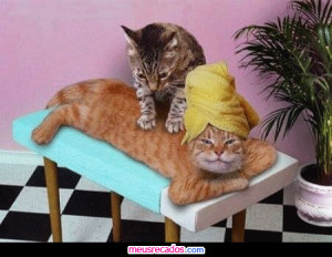 imagens engraçadas,fotos engraçadas,engraçada do facebook,imagens e ...