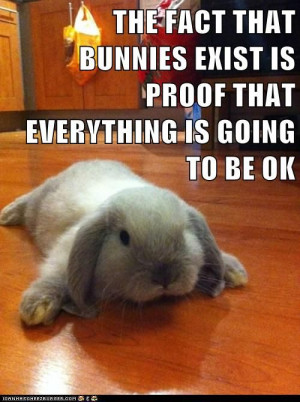 THE FACT THAT BUNNIES EXIST IS PROOF THAT EVERYTHING IS GOING TO BE OK