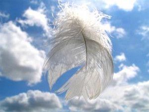 Angel Guidance Quotes