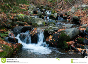 fall-river-autumn-stream-roaring-fork-great-smoky-mountains-national ...