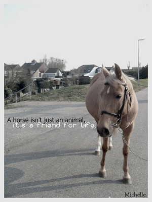 Added: Dec. 19, 2013 | Image size: 375 x 500 px | More from: unknown ...