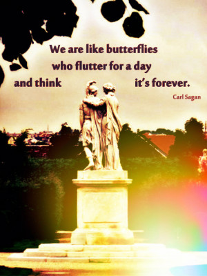 We are like butterflies who flutter for a day and think it's forever.