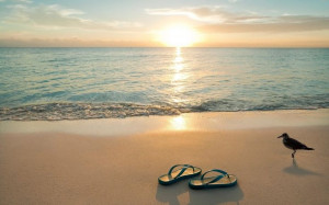 ... , At The Beach, Flip Flops, Places, Inspiration Quotes, Beach Life