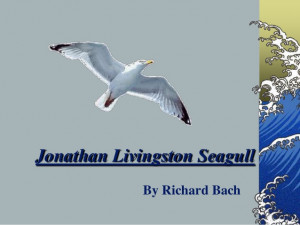 Johnathan Livingston Seagull - A review