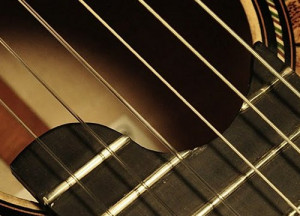 ... 19 fret fingerboard extra frets are no problem and do not cost extra