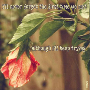 funny sarcasm sarcastic humor love love quotes funny love quotes