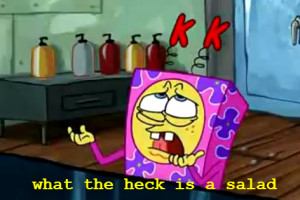 mine spongebob spongebob squarepants WHAT THE HECK IS SALAD?