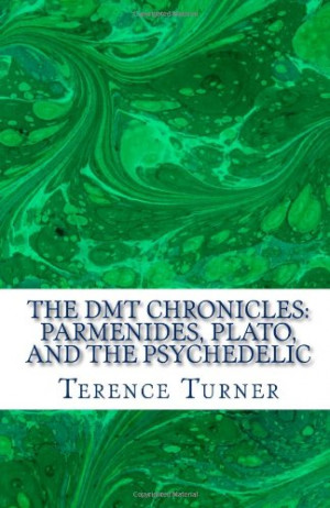 The DMT Chronicles by Terence Turner