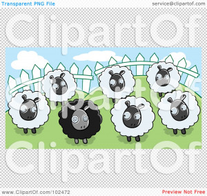 ... -Of-White-Sheep-Looking-At-A-Black-Sheep-In-A-Pasture-1024102472.jpg
