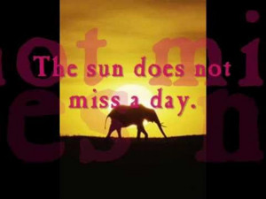 ... does not miss a day. ~African ProverbFamous Quotes, African Proverbs