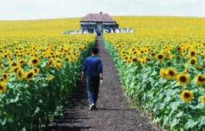 the most beautiful scene from Everything is Illuminated
