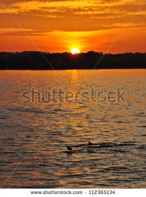 ... lake, post card shot. Can be used with inspirational quotes - stock