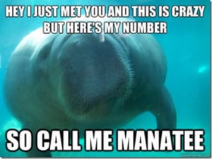 wanted to just stay there forever, but Marco the Manatee had to ...