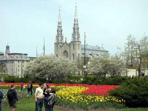 Ottawa Tulip Festival