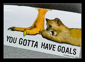 ... that i am very goal orientated i like having clear goals developing a