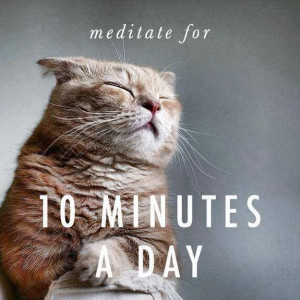 Found on scontent-a-lga.xx.fbcdn.net