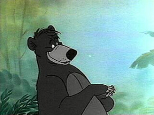 Funny Quotes Contact Dmca