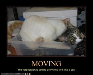 ... move the first stepss when it comes to moving home there is no such
