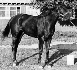 Via America's Best Racing