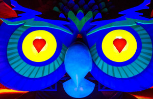 Debut set from the Night Owl Experience EDC Las Vegas 2013!