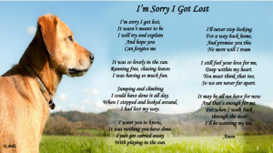 Amazing poem about a lost dog