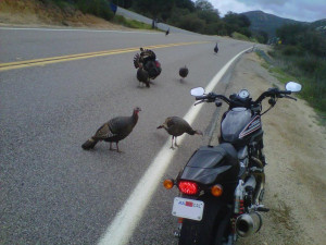 ve never been that scared going that slow.