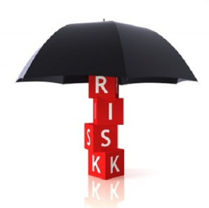 risk management plan includes strategies and techniques to recognize ...