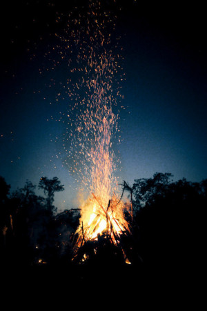 ... trees indie dream fire night nature forest bonfire Woods vertical camp