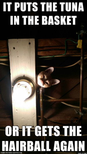 Leave a Reply Cancel reply