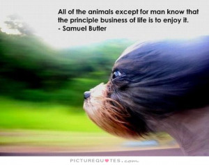 All of the animals except for man know that the principle business of ...
