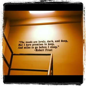 robert frost famous poems