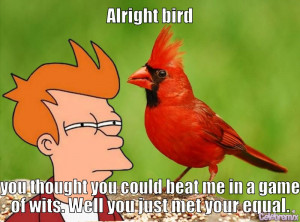 Alright Bird Fry Quote