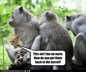 funny monkey pictures with captions