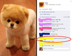 Funny Quotes Contact Dmca