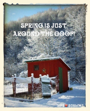Spring is just around the coop! ♡ ―angie