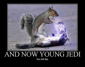 funny star wars pictures, and now young jedi you will die