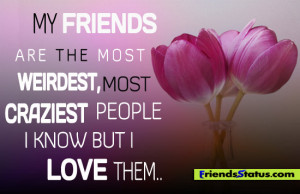 My friends are the most weirdest, most craziest people i know but i ...