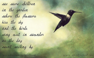 search hummingbirds quotes